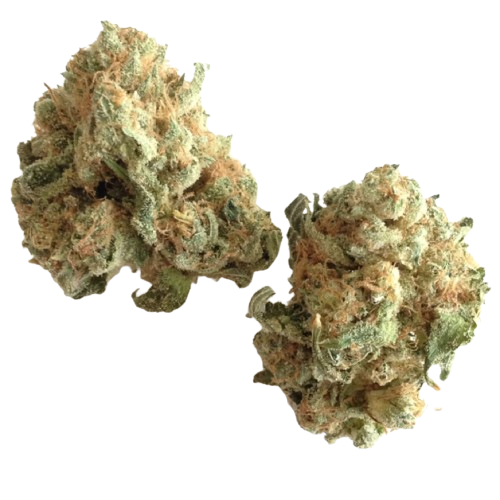 White Widow